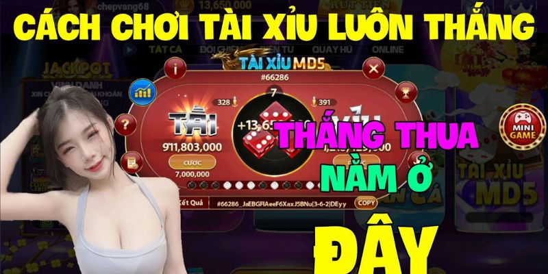 Hiểu rõ luật chơi tài xỉu cơ bản