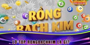 Lô Top Rồng Bạch Kim - Lựa Chọn Số 1 Cho Các Lô Thủ