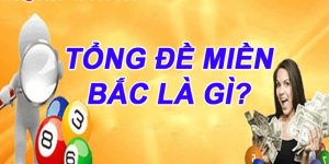 Tổng Đề Là Gì? Tìm Hiểu Chi Tiết Hình Thức Chơi Số Đề